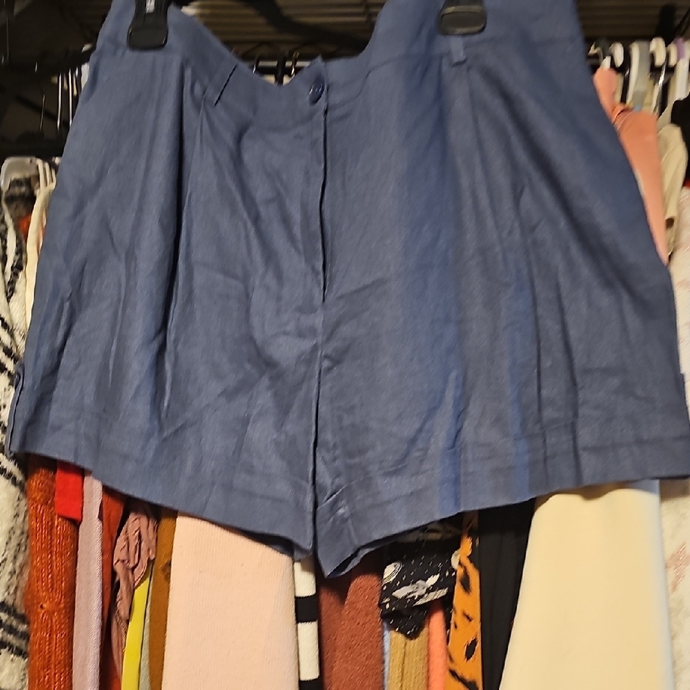 Blue High-Waisted Shorts